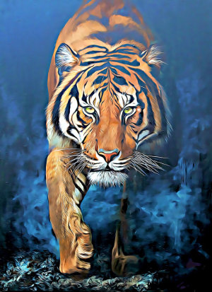 bengaltiger