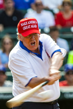 TrumpAtBat