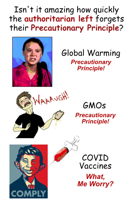 PrecautionaryPrinciple